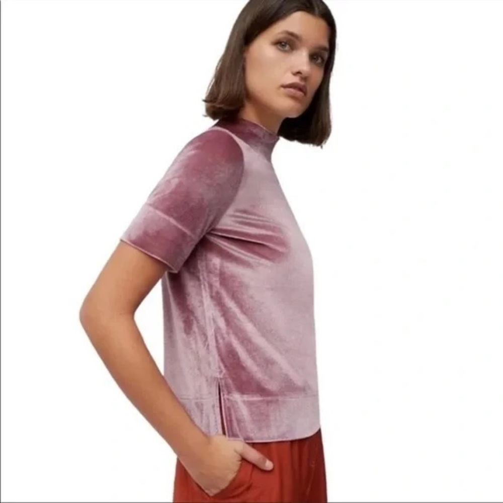 Anthropologie Mauve Velvet Mock Neck Turtle Neck Suede Short Sleeve Top Blouse